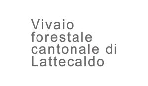 Vivaio forestale cantonale di Lattecaldo