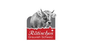 Rätisches Grauvieh Schweiz
