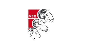 VEB