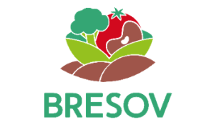 BRESOV