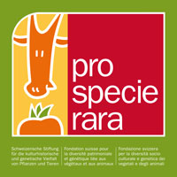 ProSpeceRara Blache