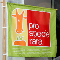ProSpeceRara Fahne