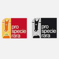 ProSpeceRara Logo digital